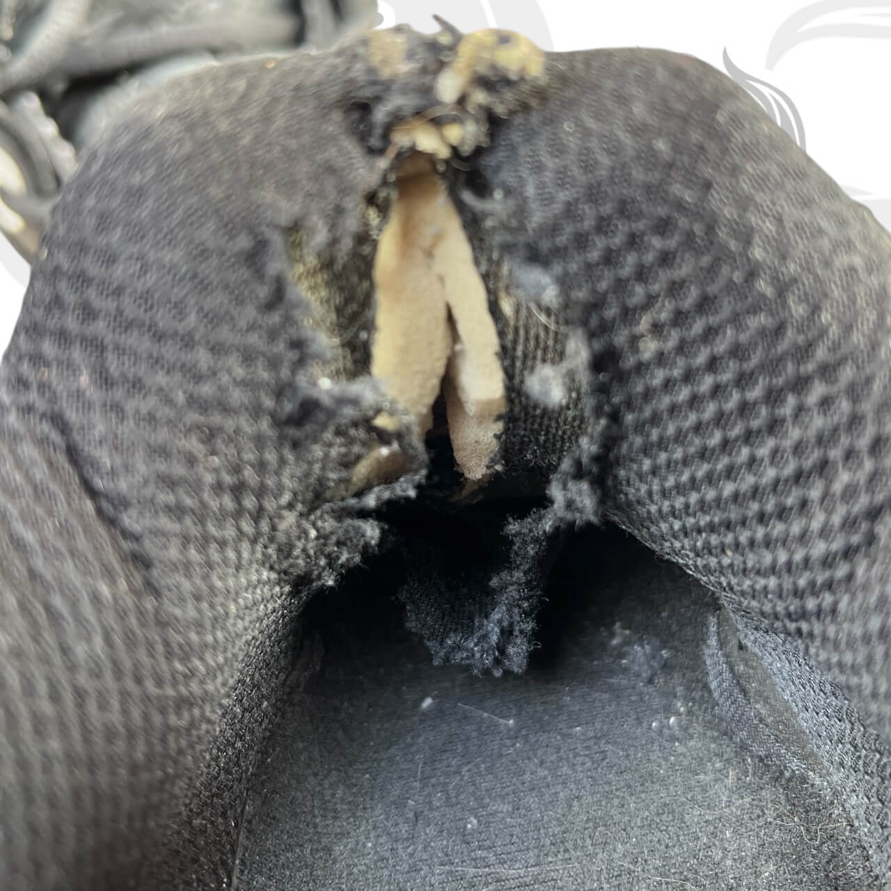 Osiris D3 2001 Black/Gum Shoes